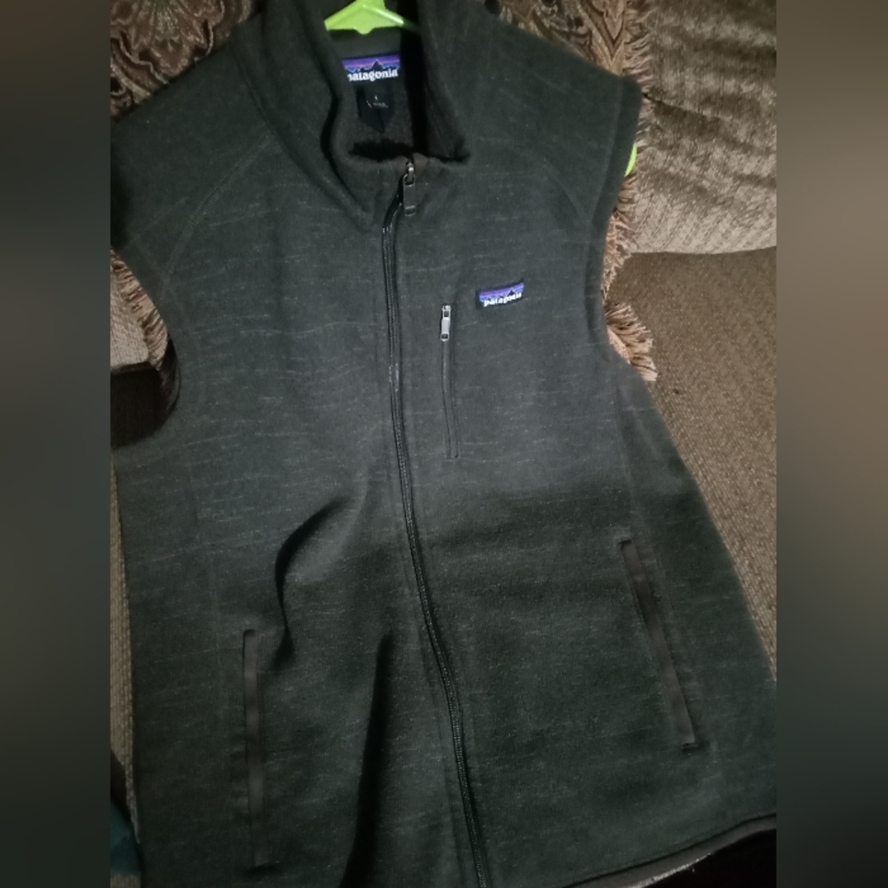Patagonia vest